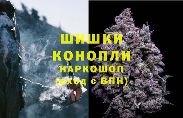 прущий лед Вязьма