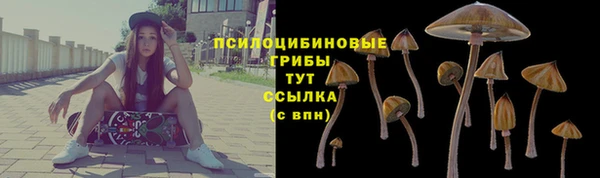 кристаллы Абаза