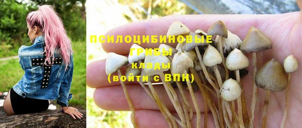 кристаллы Абаза